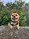 Penny