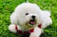 Casper