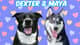 Dexter & Maya