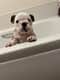 Margo
