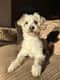 Baxter