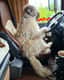 Milow