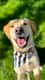 Fingers