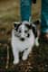 Tucker