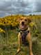 Winnie