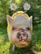 Abby the Pink Piggy