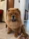 Winnie