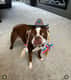 Finley