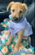 Winnie Lou