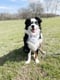 Tucker