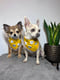 Peanut & Ted