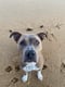 Tilly
