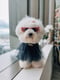 Monty Puff