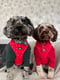 Truffle & Sable