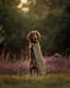 Journey