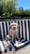Bailey