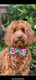 Winnie
