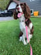 Marley