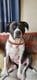 roxy