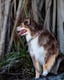 Rory