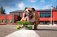Chowder the Bulldog