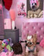 Princess Bonnie