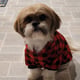 Muffin