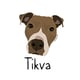 Tikva