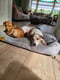Bengie&Freek
