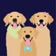 Flynn, Libby, & Gus