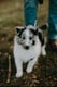 Tucker