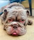 Walter