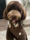 Buster Brown