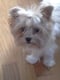 Roxie