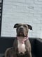 Narla