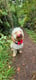 Pippa & Hettie
