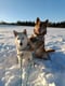 Yuki & Koyo