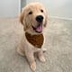 Ralphie