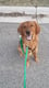 Tucker