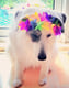 Ruska
