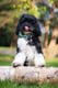 Jasper