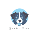 Studio Froo