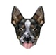 Top Dog Film Festival