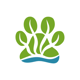 The Seaweed Co