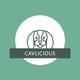@cav.licious