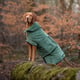 @stellarpetproducts