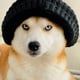 @aiko.the.explorer