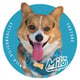 @milo_siliconvalley