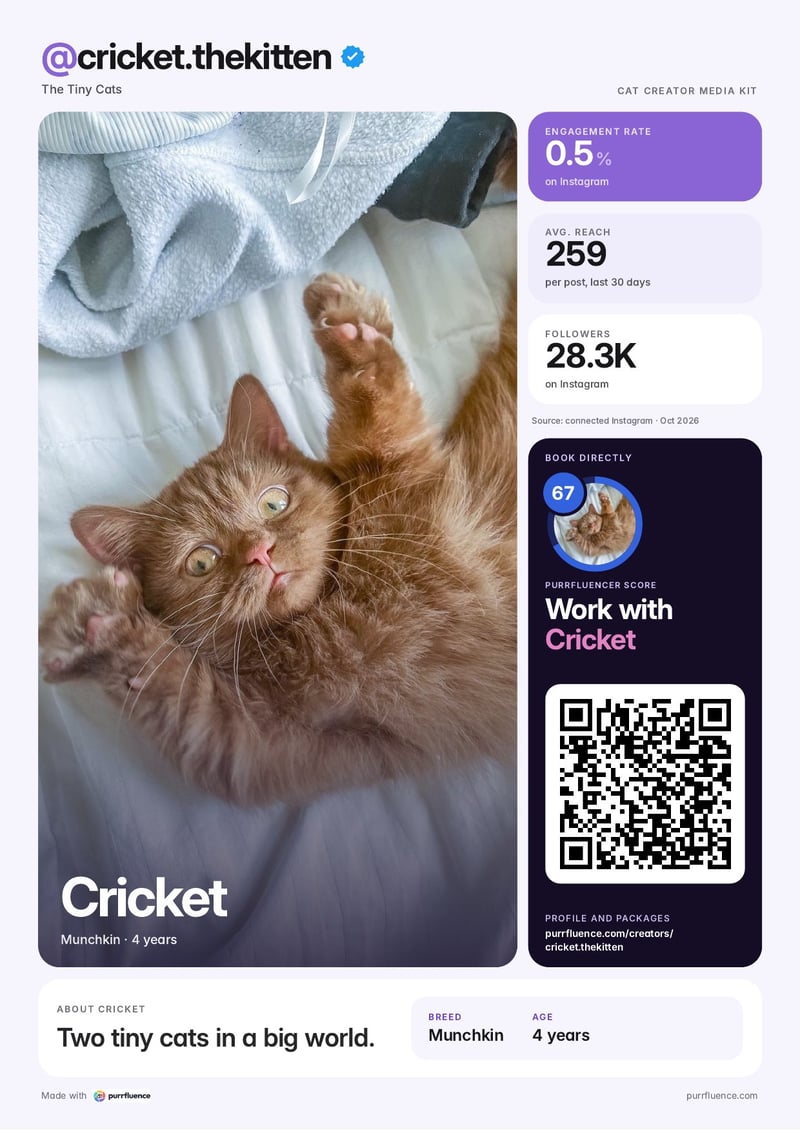 Example media kit: Before your first package