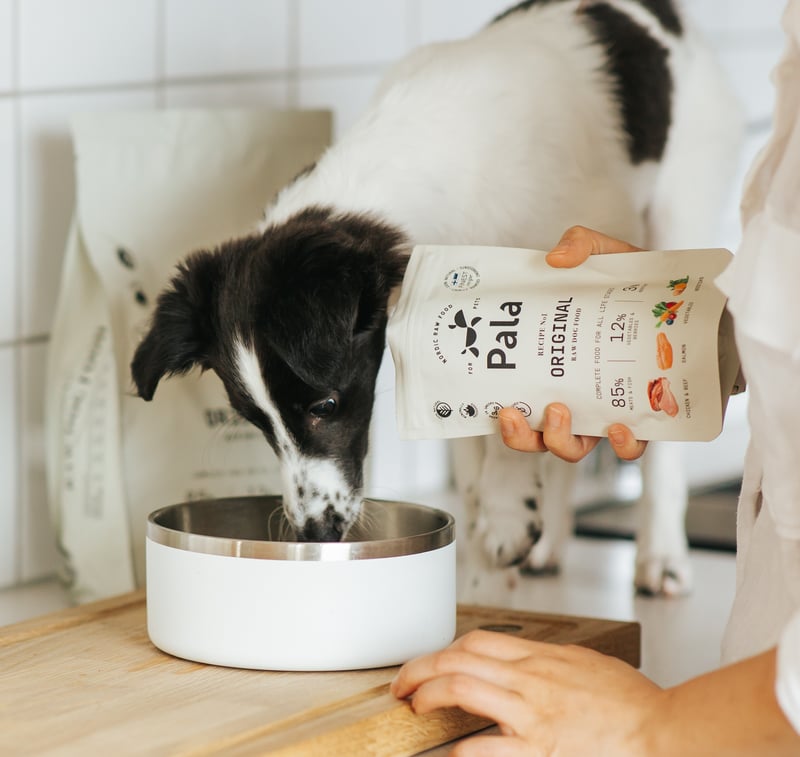 Pala Moments: Your Dog's First Taste